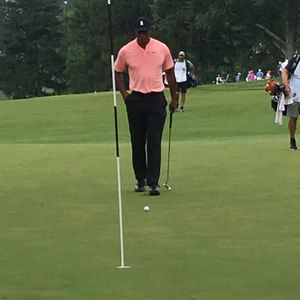 Meet your Posher, Alan